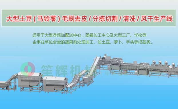 莲花连续式土豆去皮清洗切割风干生产线